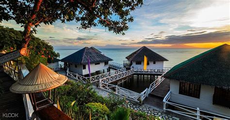 pet friendly beach resort near manila|5 Best Pet.